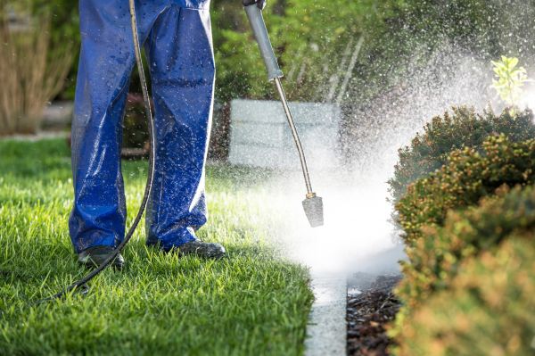 Cost of Curb Cleaning in Edison