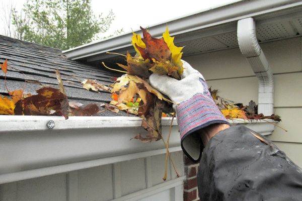Cost of Eaves Cleaning in Edison