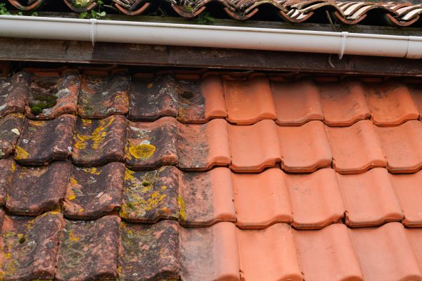 Cost of Industrial Roof Cleaning in Edison